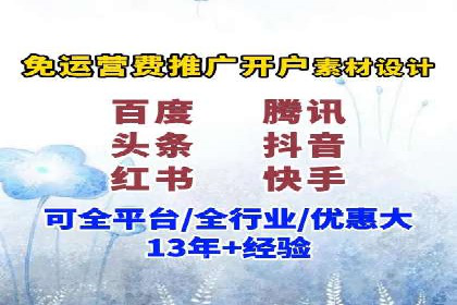 SEM广告投放策略：成功案例解析